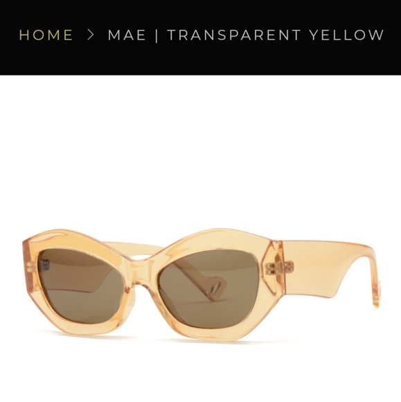 NWOT RYAN SIMKHAI MAE SUNGLASSES IN TRANSPARENT YELLOW - Picture 2 of 9